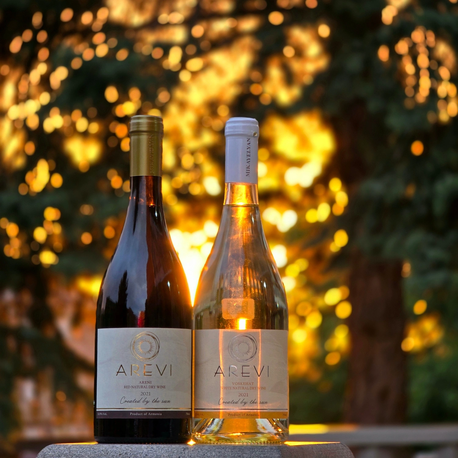 Marketing and Lifestyle